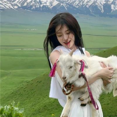 法兰西特派周报